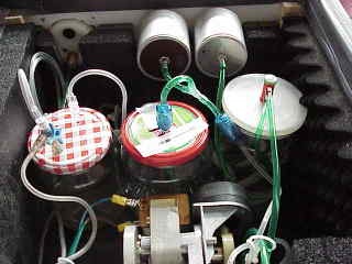 Innereien - schr�g von hinten