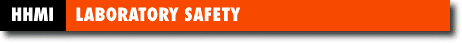 [Laboratory Safety]